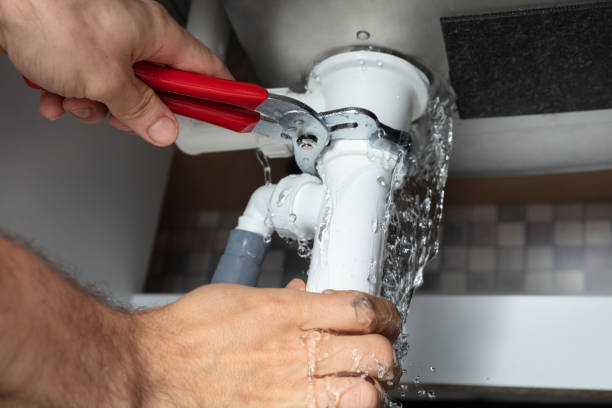 Best Water damage cleanup near me  in Montour Falls, NY