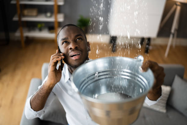  Montour Falls, NY Water damage restoration Pros