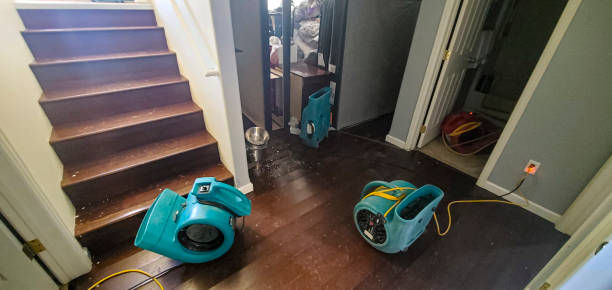 Best Flooded house restoration  in Montour Falls, NY