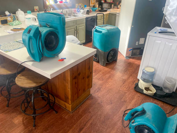 Best Water damage contractors near me  in Montour Falls, NY