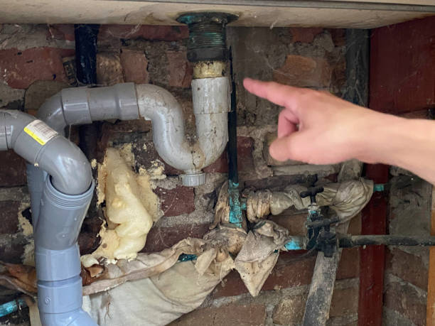 Best Local water damage restoration  in Montour Falls, NY