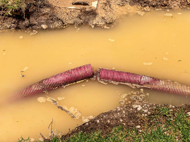Best Water damage contractors near me  in Montour Falls, NY