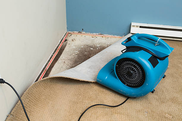 Best Flood restoration services  in Montour Falls, NY